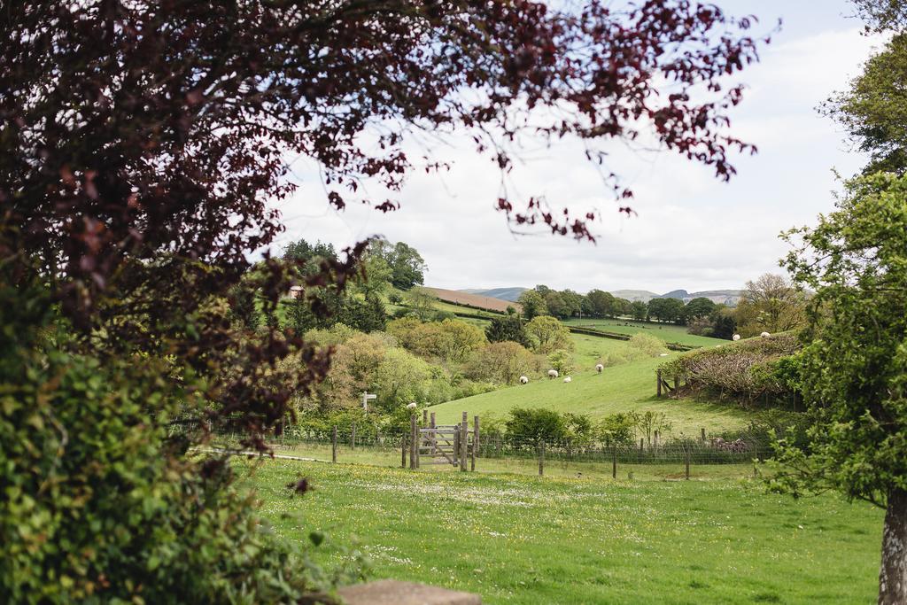 Pwllgwilym B & B Builth Wells Exteriér fotografie