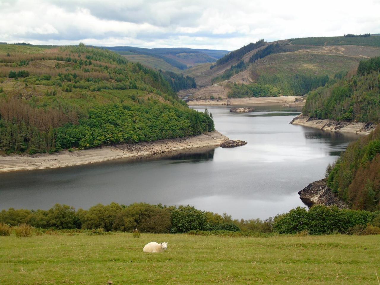 Pwllgwilym B & B Builth Wells Exteriér fotografie