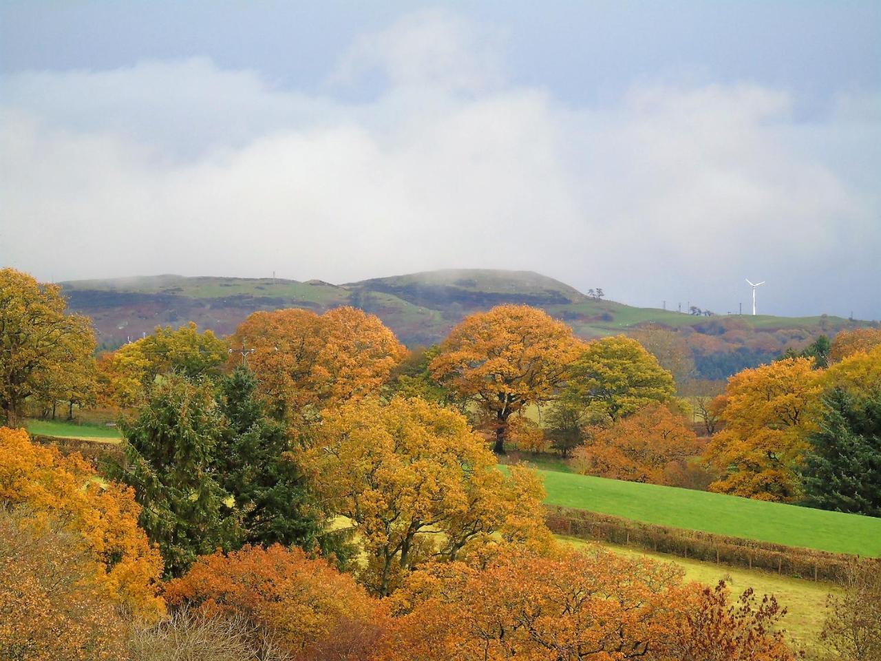 Pwllgwilym B & B Builth Wells Exteriér fotografie